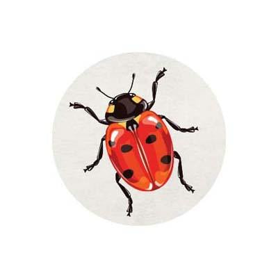 Lady Bug Party Supplies & Decorations
