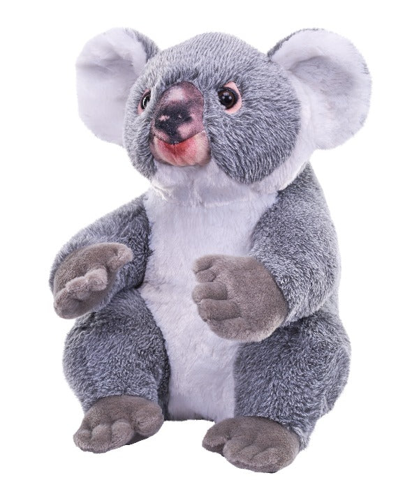 Koala Soft Toy - Teddy Bear