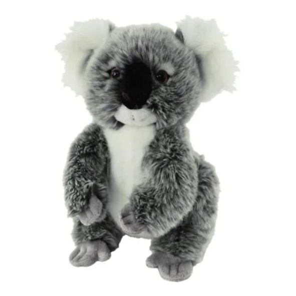 Australian Animals Koala Teddy - Soft Toy