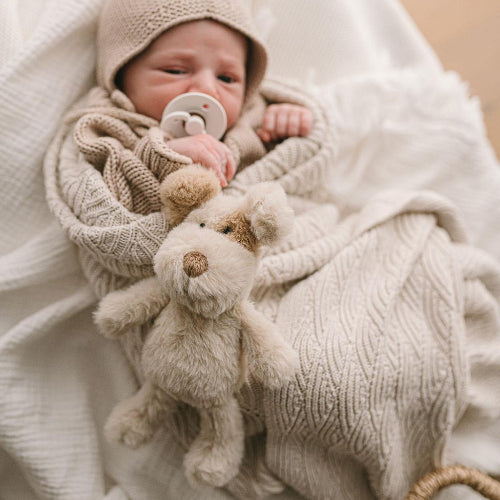 Buddy the Puppy Dog Baby Rattle Soft Toy