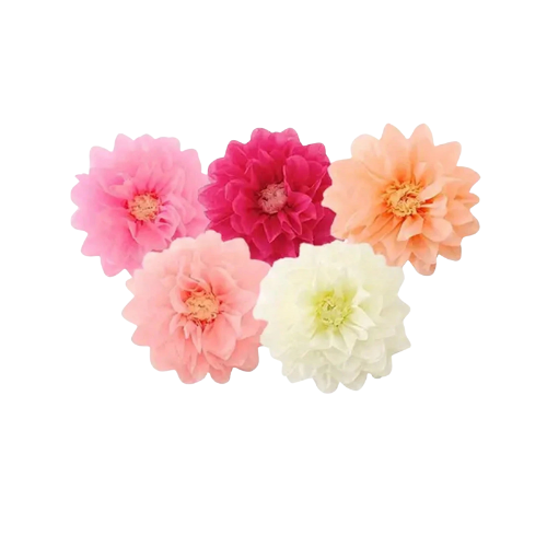 Bridal Blush Flower Garden Tissue Paper Pom Poms 5 pack