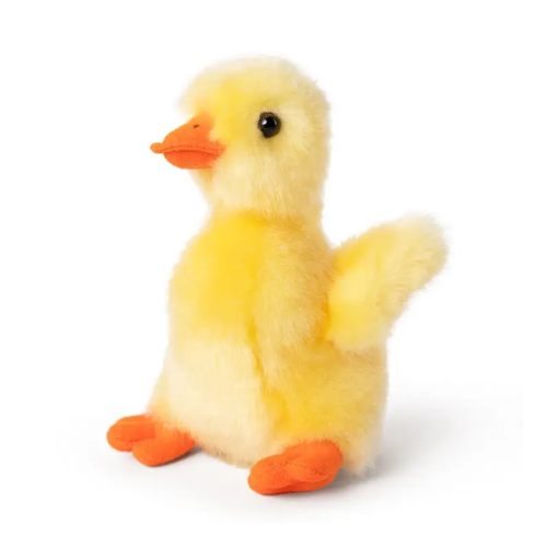 Yellow Duckling Teddy Bear - Soft Toy