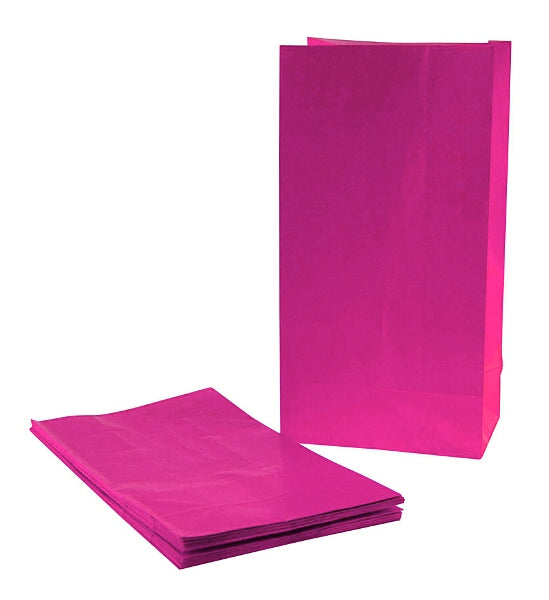 Hot Pink Plain Paper Party Gift Bags