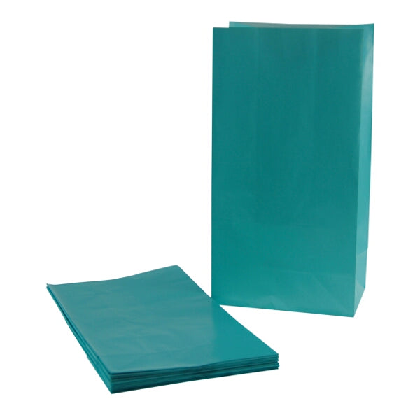 Baby Blue Plain Paper Party Gift Bags
