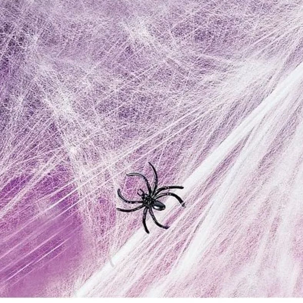 Spider Web Halloween Decoration