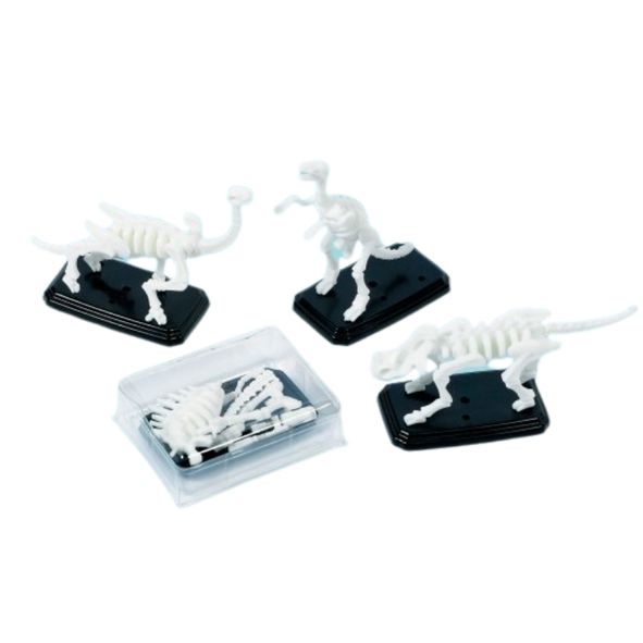 Dinosaur 3D Fossil Party Puzzles -12 Pack