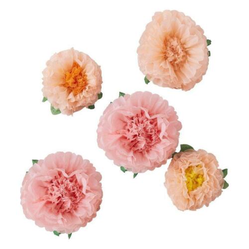 Blush Flower Tissue Pom Poms 5 pack