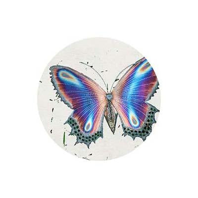Butterfly Party Supplies & Decorations