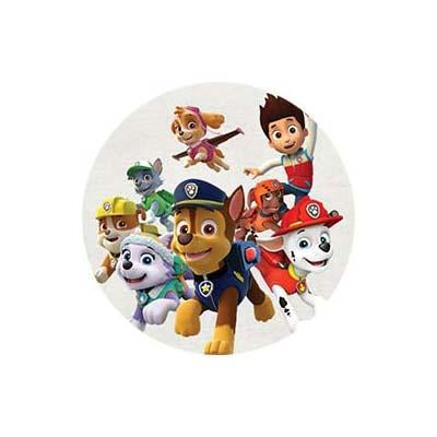 Paw Patrol Party Supplies & Decorations