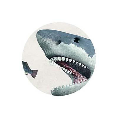Scary Sharks Party Supplies & Decorations