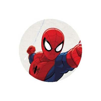 Spiderman Party Supplies & Decorations