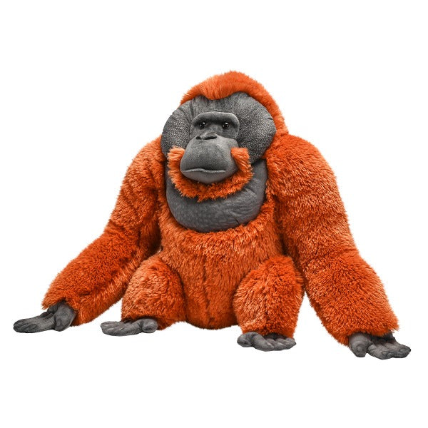 Male Orangutan Teddy Bear Soft Toy