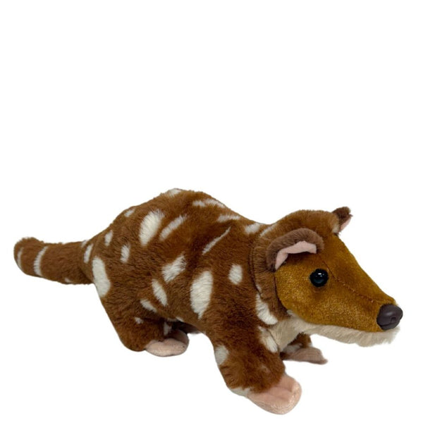 Australian Quoll Chilpa Teddy - Soft Toy