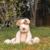 Buddy the Puppy Dog Teddy Bear Soft Toy