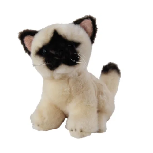 Siamese Kitten Teddy Bear Soft Toy