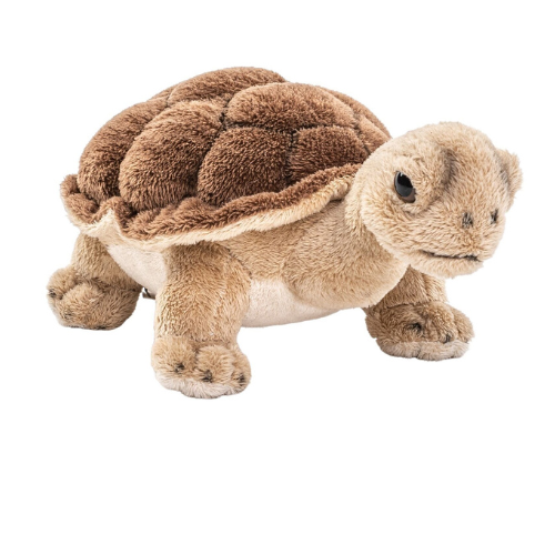 Tortoise Teddy Bear - Soft Toy