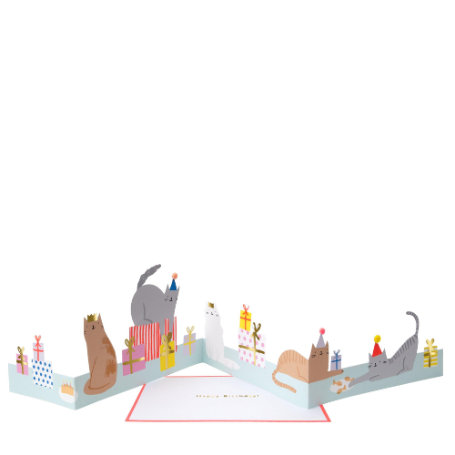 Cat Party Birthday Concertina Card