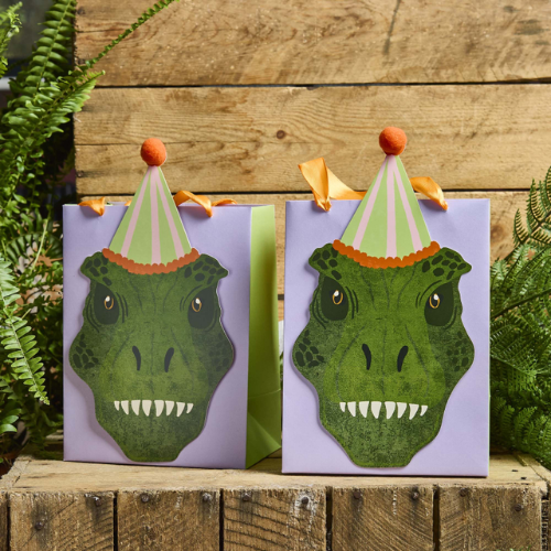 Party Dinosaurs Party Bags