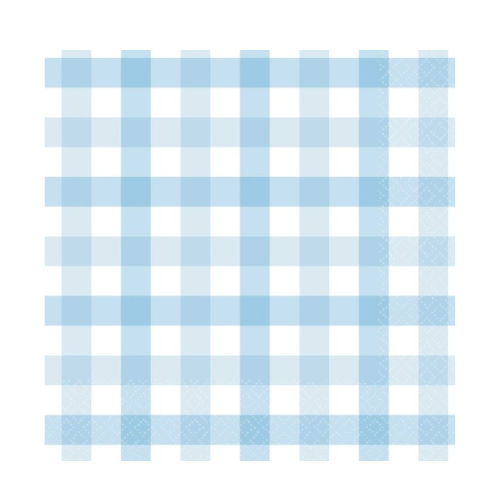 Baby Blue Gingham Paper Party Napkins