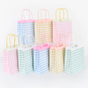 Pastel Gingham Fringe Paper Party Bags