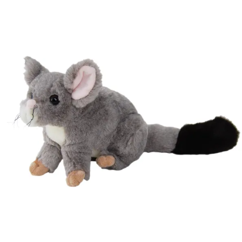 Australian Animals  Possum Teddy - Soft Toy