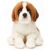 Buster - Saint Bernard Puppy Dog Teddy Bear - Soft Toy