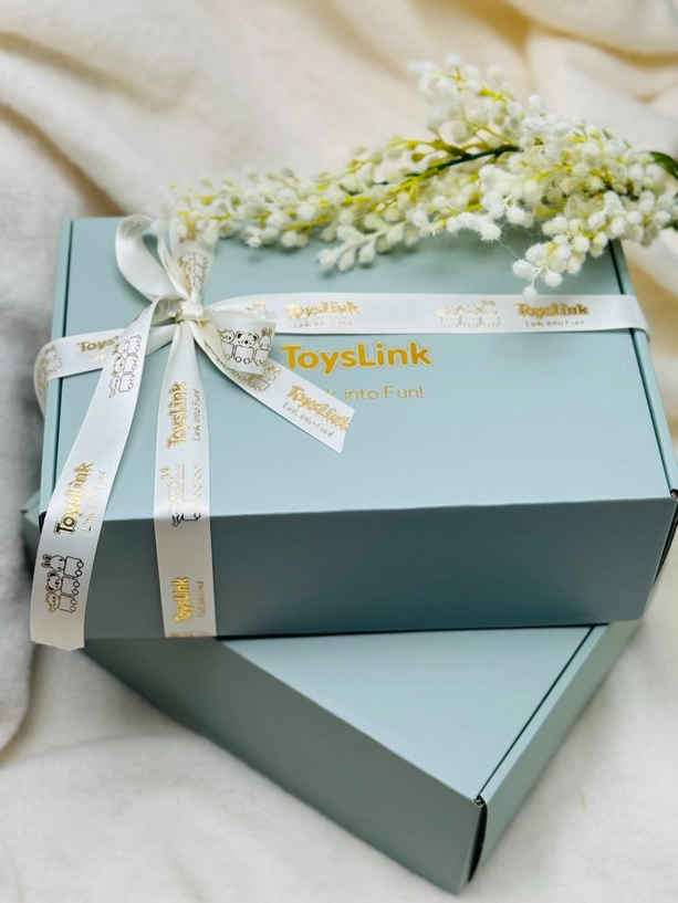 Newborn Baby Gift Box  - Blue Koala Baby Gift Box – 5 Piece