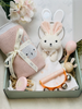 Newborn Baby Gift Box  - Pink Bunny Baby Gift Box – 5 Piece
