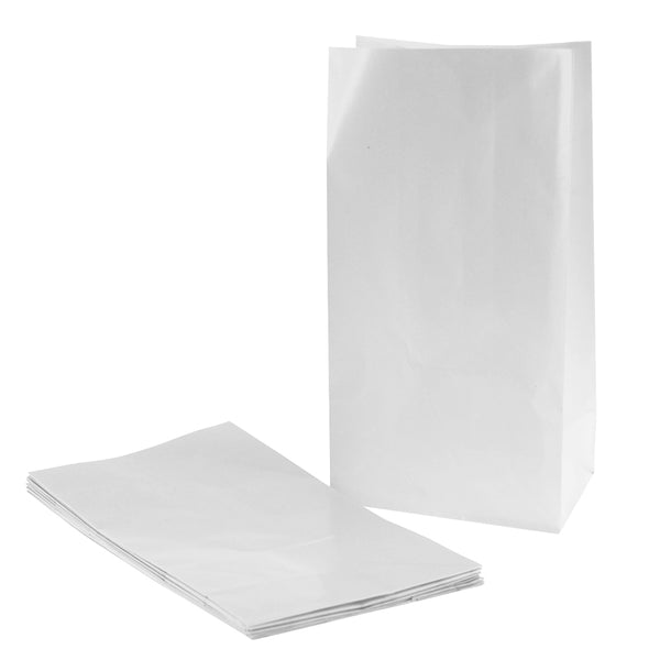 White Plain Paper Party Gift Bags
