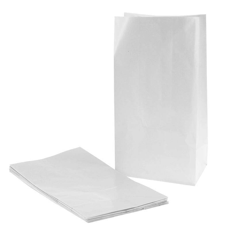 White Plain Paper Party Gift Bags